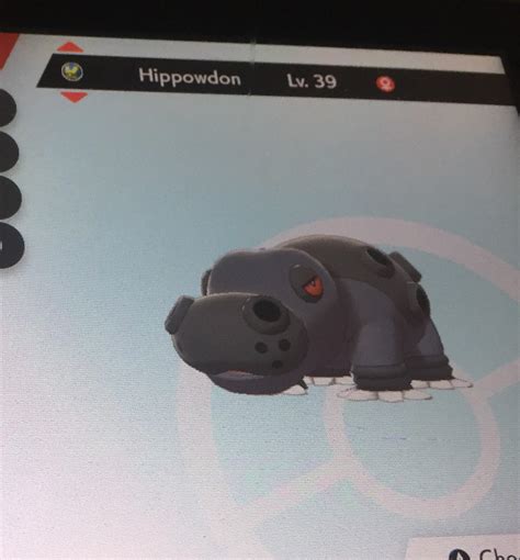 why is my hippowdon black.
